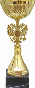 Кубок 569